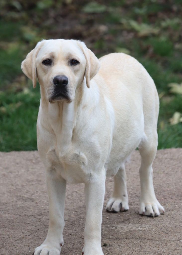 Vis ta vie De Pont Barreau