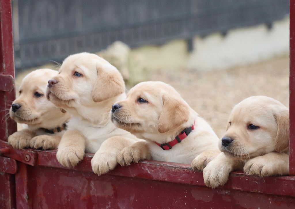 NOUVELLES PHOTOS DE NOS BÉBÉS